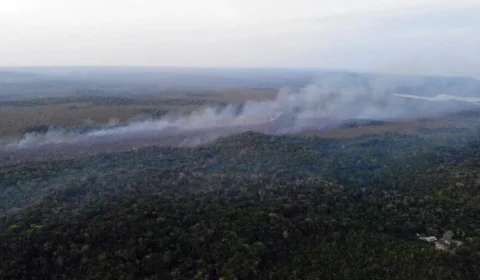 Fumaça em Manaus: região metropolitana tem 730 incêndios em um único dia e deixa ar insalubre