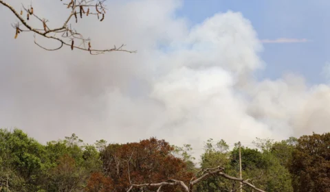 Exército e CBMDF vão atuar juntos no combate ao incêndio do Parque Nacional