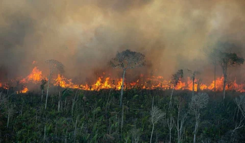 Queimadas na Amazônia: Mais de 1 mil focos afetam cidades do Pará