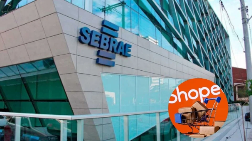 Acordo entre Sebrae e Shopee visa fortalecer a formação de pequenos negócios