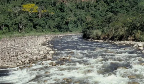 Morrem seis passageiros em naufrágio em rio da Amazônia nesta quarta-feira (4)