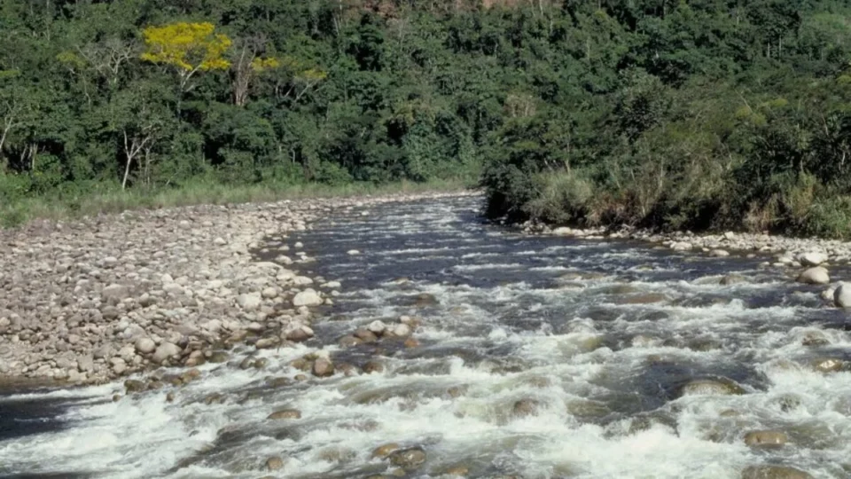 Morrem seis passageiros em naufrágio em rio da Amazônia nesta quarta-feira (4)