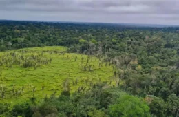Cidade perdida do século 18 é descoberta na Amazônia