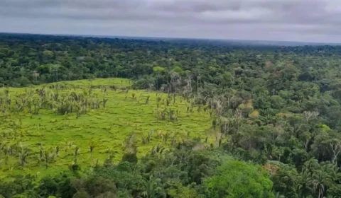 Brasil reduz emissões de gases do efeito estufa em 12%