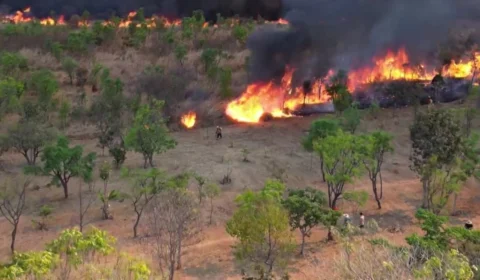 Fogo em Brasília: incêndio atinge Parque Nacional; assista