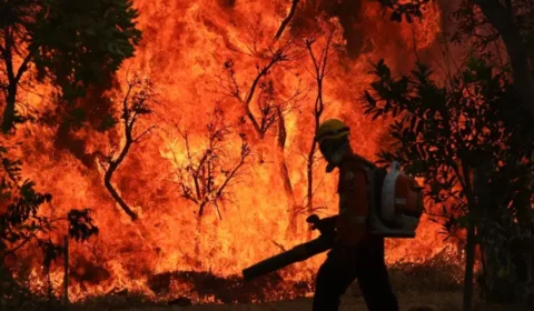 Incêndio no Parque Nacional de Brasília: situação atual e desafios