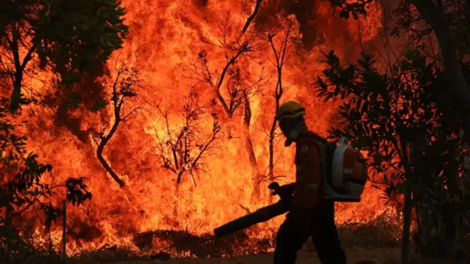 Incêndio no Parque Nacional de Brasília: situação atual e desafios