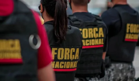 Força Nacional combate incêndios na região Norte