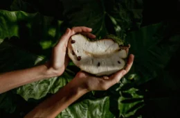 Graviola é boa para quê? Veja benefícios e aprenda receita de sobremesa