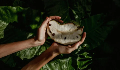 Graviola é boa para quê? Veja benefícios e aprenda receita de sobremesa