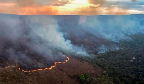 Como lidar com um foco de incêndio: dicas para a segurança