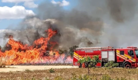 Roraima vai receber R$ 45 milhões para combater os incêndios florestais