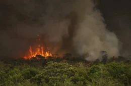 DF tem sete pessoas presas por incêndios criminosos em poucos dias