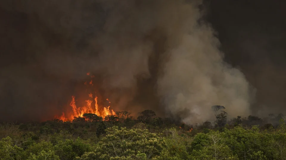 Brasil pega fogo e registra recordes de incêndios florestais