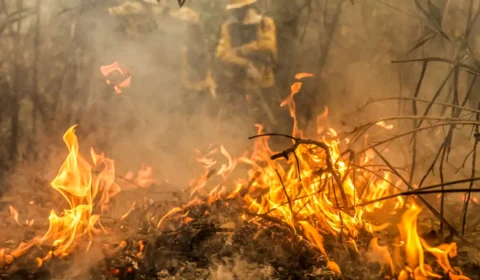 Incêndios: Saiba quais objetos representam riscos