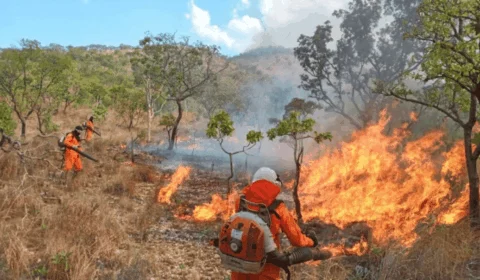 Boletim climático do Tocantins mostra onde há maiores focos de incêndio