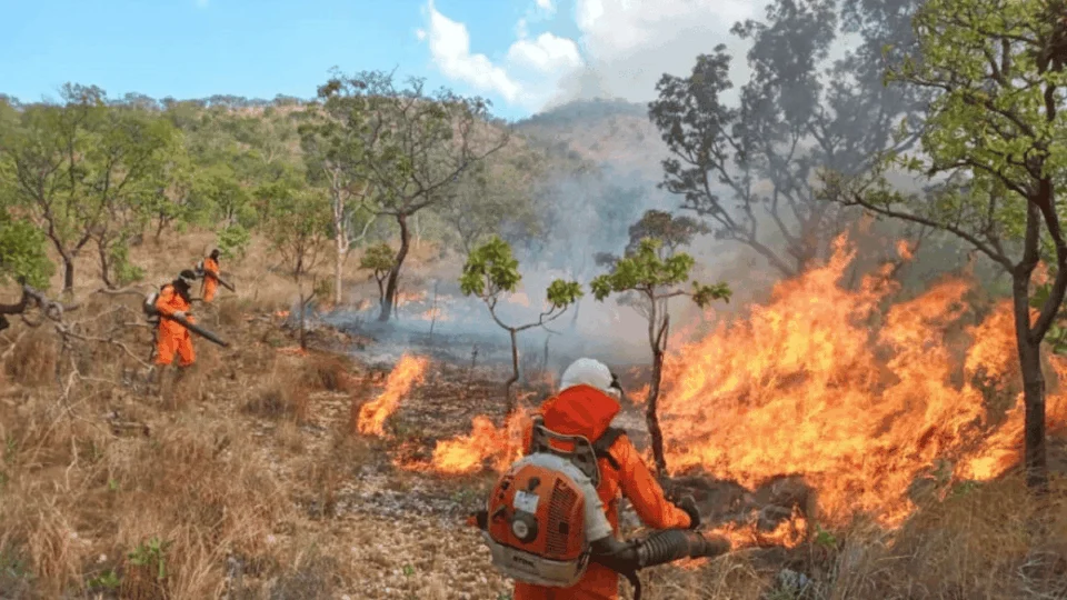 Boletim climático do Tocantins mostra onde há maiores focos de incêndio