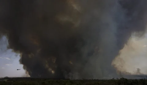 Incêndios no DF vão além do Parque Nacional de Brasília; Veja vídeo assustador