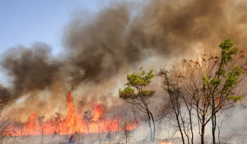 Brasília amanhece encoberta por fumaça de incêndio no Parque Nacional