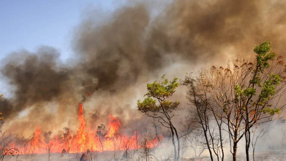 Brasília amanhece encoberta por fumaça de incêndio no Parque Nacional