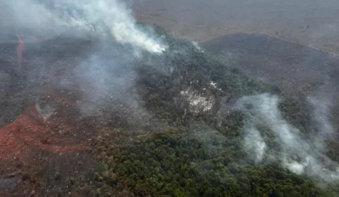 Incêndios no DF podem ser causados por grileiros, apontam investigações