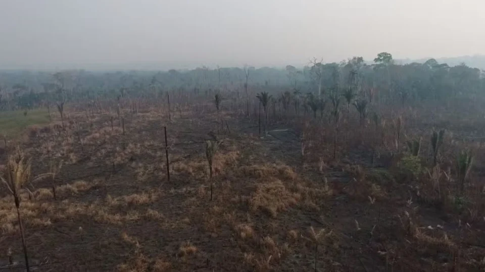 Rondônia: espaço equivalente a 70 mil campos de futebol destruídos por incêndios criminosos