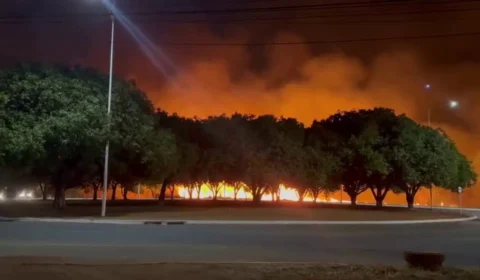 Tocantins sob alerta: temperaturas de até 43º e risco de incêndio