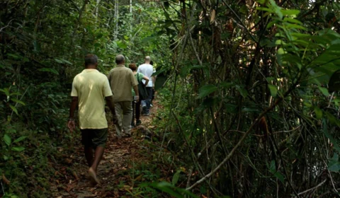 Trilhas na Amazônia: confira 7 dicas para se aventurar em segurança