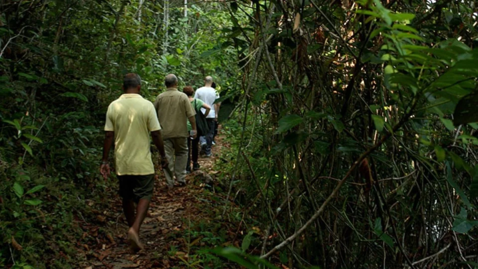 Trilhas na Amazônia: confira 7 dicas para se aventurar em segurança