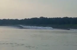 ‘Tsunami’ no Rio Solimões? Ondas impressionam moradores; vídeo