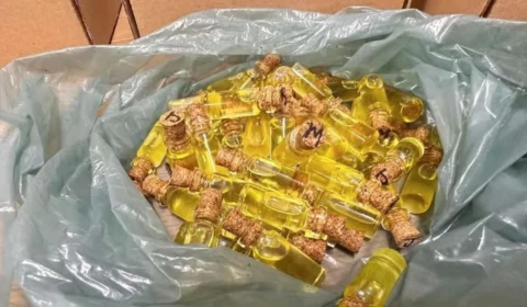 Xapa Xana: grupo é preso no DF por vender lubrificante de maconha