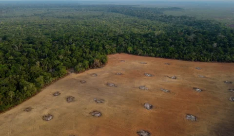 Amazônia tem mais de 20 mil fazendas em áreas de proteção e indígenas