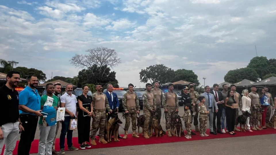 Heróis de quatro patas: cães da PMDF são homenageados após aposentadoria
