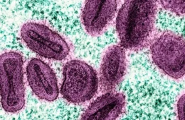 Mpox: Brasil registra mais de 30 novos casos da doença em 15 dias