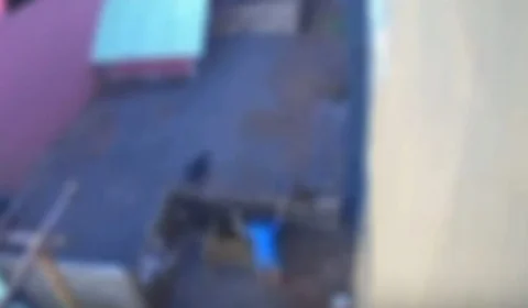 Massacre de 23 animais: saiba o que acontecerá com o menino responsável pelo ato cruel