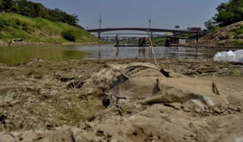Rio Acre passa dos 3 metros, mas fim da seca ainda é incerto; relembre pior cota