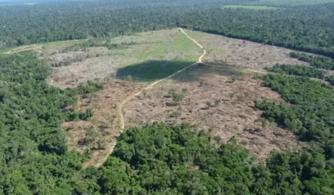 Estados da Amazônia e Pantanal devem se adequar a medidas ambientais