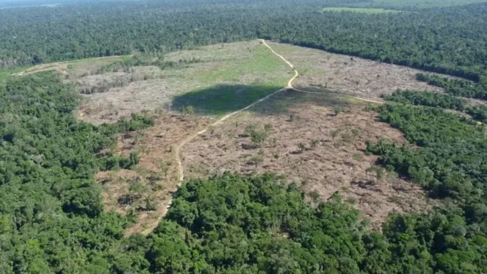 Estados da Amazônia e Pantanal devem se adequar a medidas ambientais