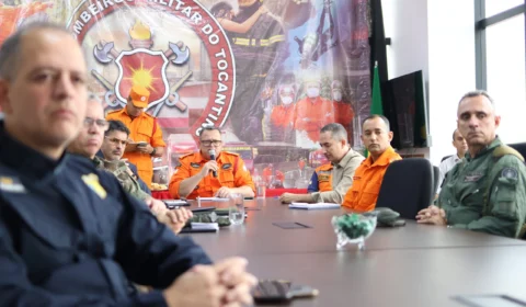 Operação Tocantins Mais Verde: focos de calor cresceram 71% em 2024