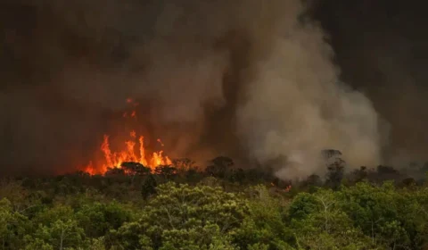 Amazônia concentra mais da metade das queimadas no país em 2024