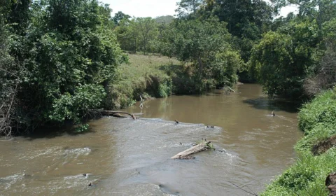Quatro homens são presos por danos à área de proteção ambiental do DF