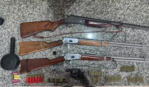 Armas ilegais e animal silvestre domesticado são encontrados em propriedade rural de RO