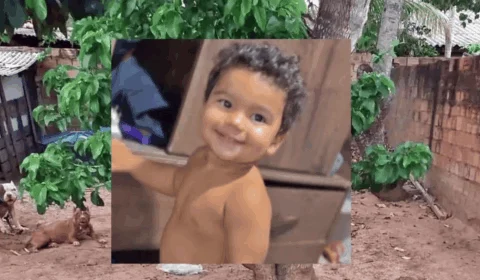 Bebê de 1 ano morre após ser atacado por pitbull no interior de Rondônia