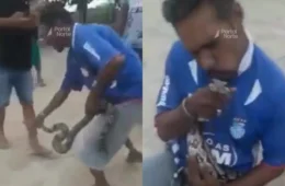 Brincadeira com jiboia termina em ataque violento no rosto em Caapiranga (AM)