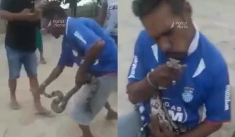 Brincadeira com jiboia termina em ataque violento no rosto em Caapiranga (AM)