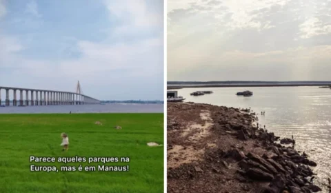 Em Manaus, seca revela ‘parque’ às margens do Rio Negro e chama atenção da web