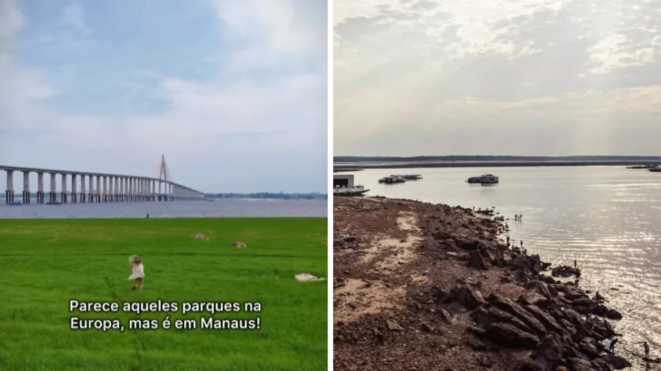 Em Manaus, seca revela ‘parque’ às margens do Rio Negro e chama atenção da web