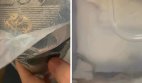 VÍDEO: Jovem encontra escorpião vivo em pacote de entrega da shein