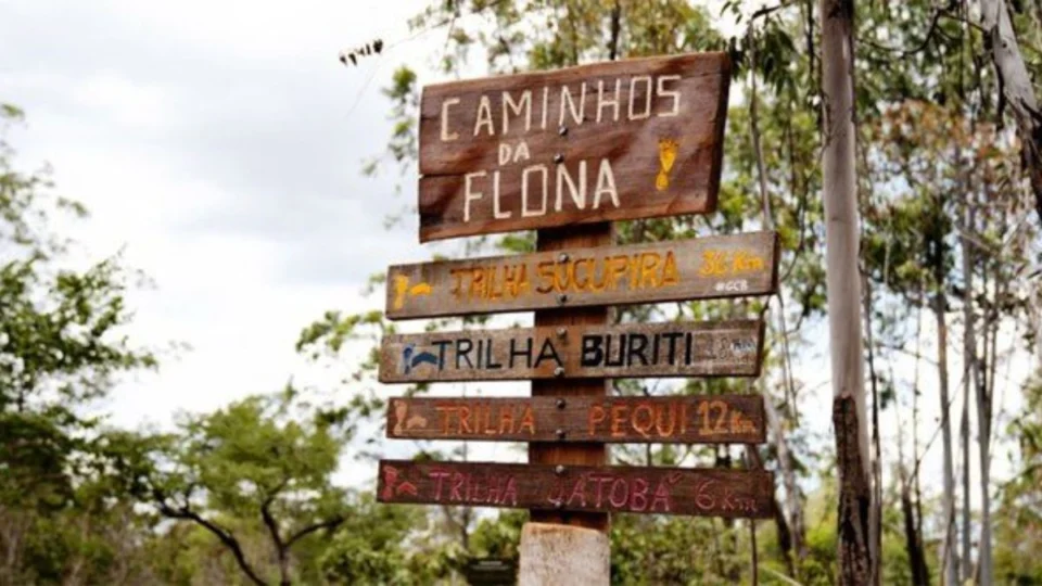 Floresta Nacional de Brasília reabre após maior incêndio registrado