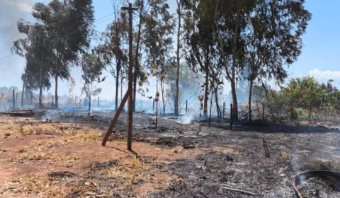 PMDF prende suspeito de atear fogo em mata próxima do Parque Nacional de Brasília